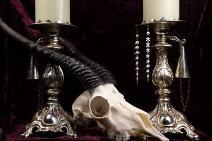 Vampyre’s Serpent